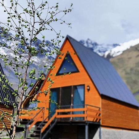 Apartamento Kazbegi Compass Habitación foto